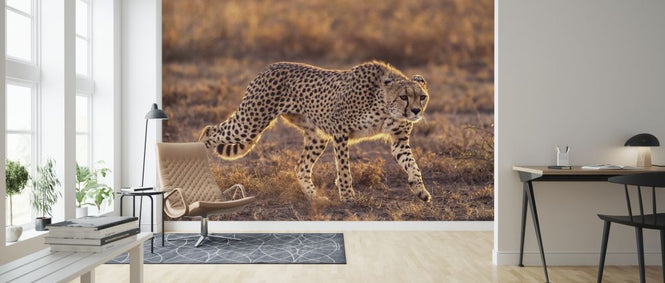 PHOTOWALL / Making the Moment (e323875)