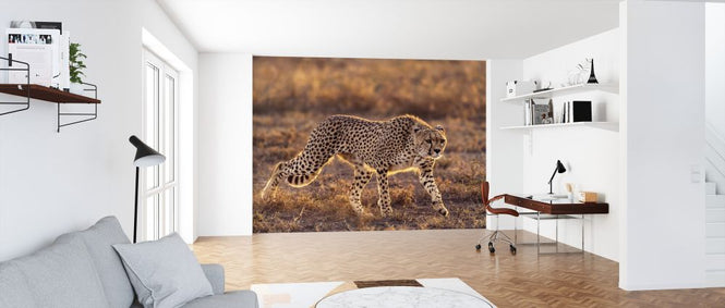 PHOTOWALL / Making the Moment (e323875)