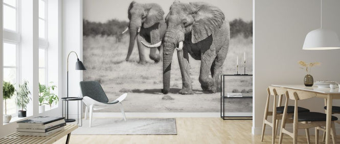 PHOTOWALL / Twin Elephants (e323876)