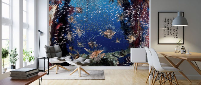 PHOTOWALL / Lionfish Party (e323878)