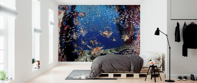 PHOTOWALL / Lionfish Party (e323878)