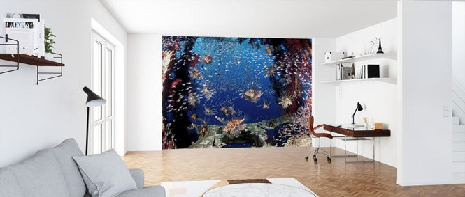 PHOTOWALL / Lionfish Party (e323878)