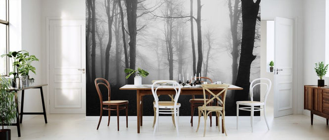 PHOTOWALL / Forest (e323880)