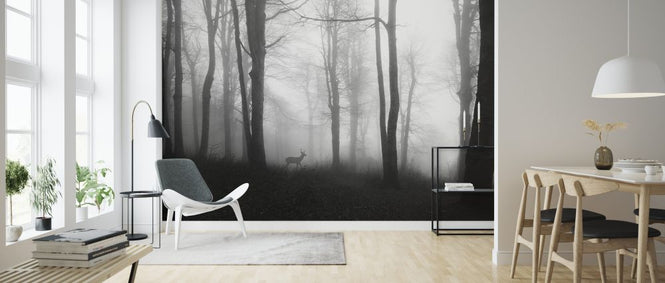 PHOTOWALL / Forest (e323880)