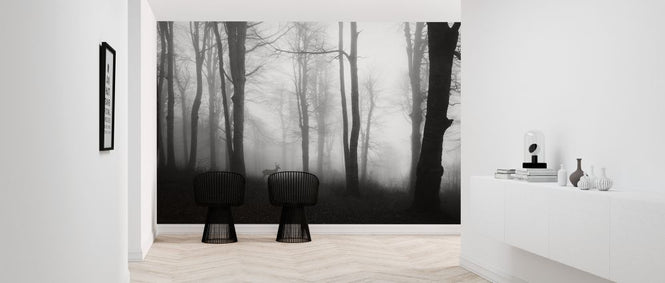 PHOTOWALL / Forest (e323880)