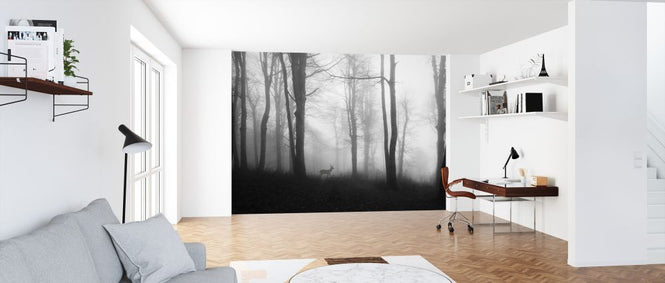 PHOTOWALL / Forest (e323880)