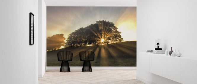 PHOTOWALL / Small Deer (e323882)