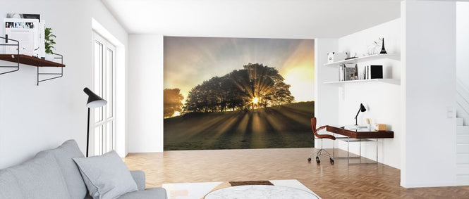 PHOTOWALL / Small Deer (e323882)