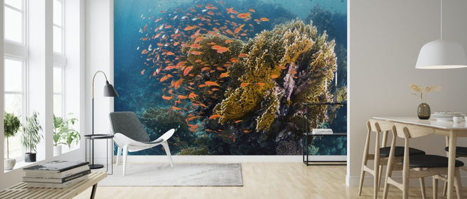 PHOTOWALL / Reefscape (e323886)