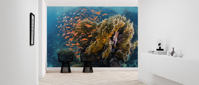 PHOTOWALL / Reefscape (e323886)