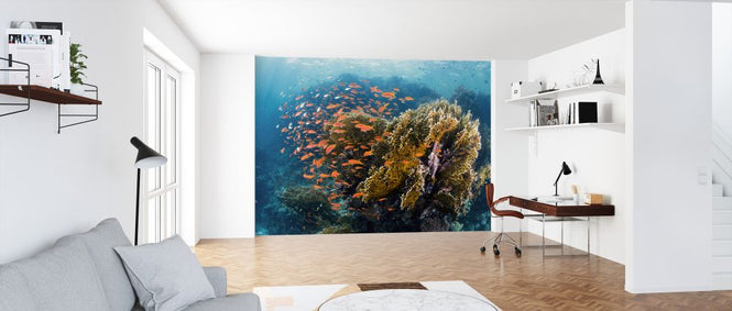 PHOTOWALL / Reefscape (e323886)
