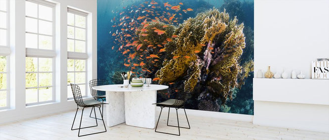 PHOTOWALL / Reefscape (e323886)
