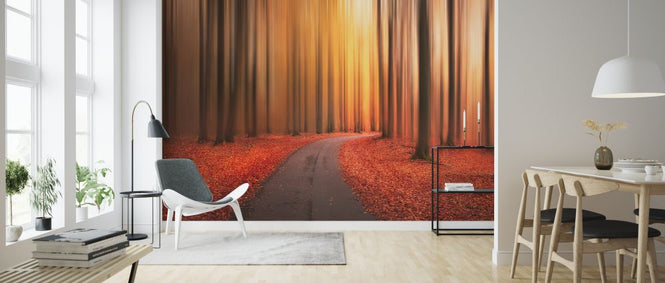 PHOTOWALL / Path to Unknown (e323887)