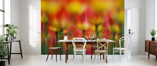 PHOTOWALL / Side by Side (e323888)