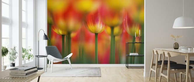 PHOTOWALL / Side by Side (e323888)