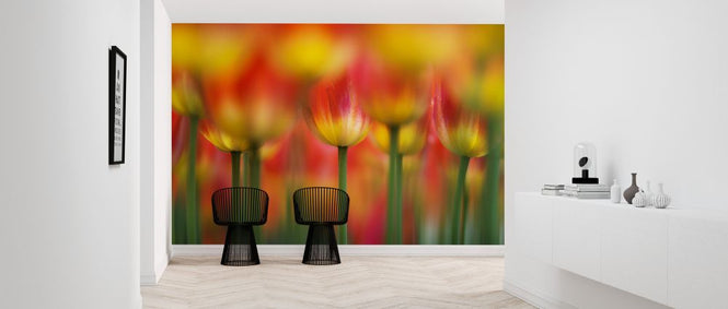 PHOTOWALL / Side by Side (e323888)