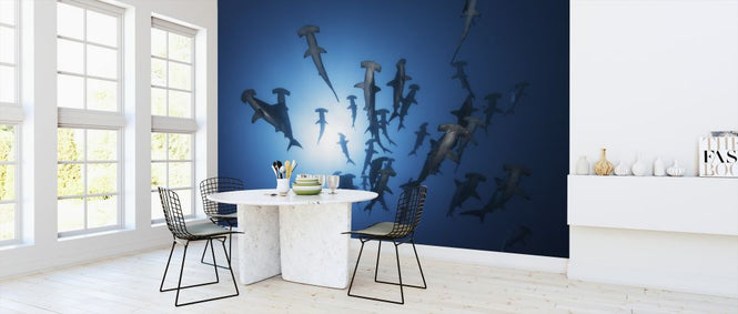 PHOTOWALL / Hammerhead Shark (e323895)