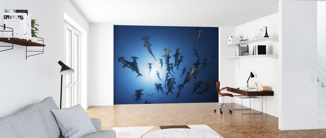PHOTOWALL / Hammerhead Shark (e323895)