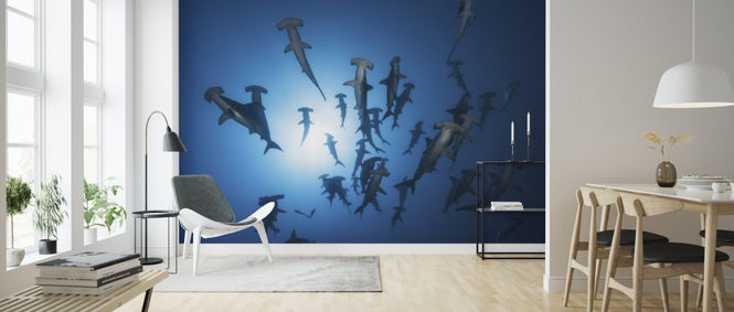 PHOTOWALL / Hammerhead Shark (e323895)