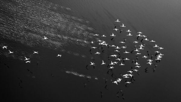 PHOTOWALL / Take Off (e323898)