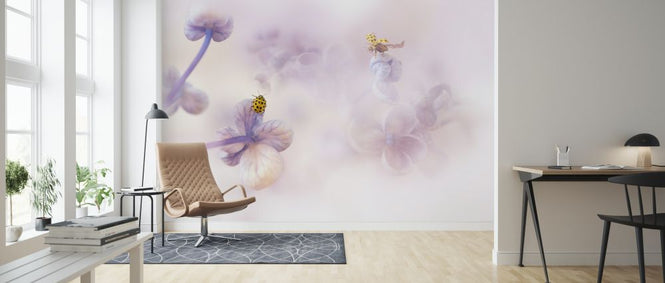 PHOTOWALL / Hello There (e323901)