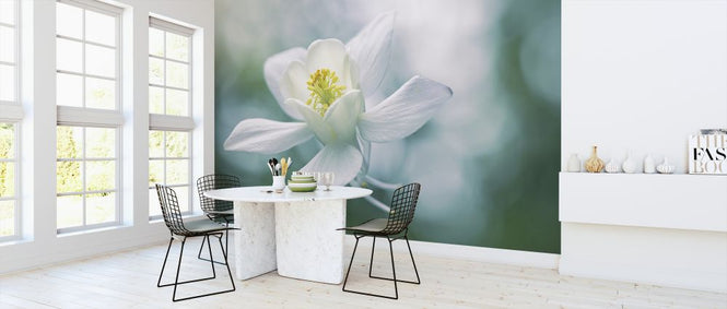 PHOTOWALL / Purity (e323915)