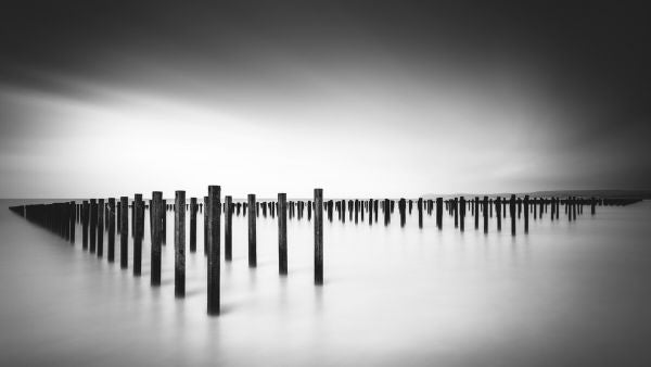 PHOTOWALL / Formation - Study (e323916)