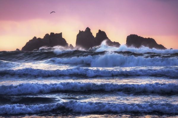PHOTOWALL / Bandon Beach Layers (e323917)