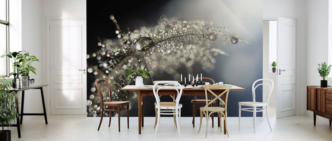 PHOTOWALL / Reflection Explotion (e323918)