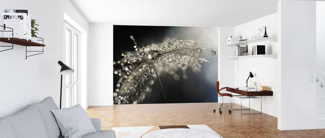 PHOTOWALL / Reflection Explotion (e323918)