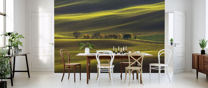 PHOTOWALL / Threads of Light (e323928)