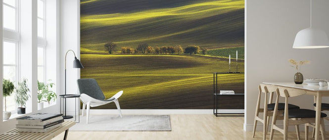 PHOTOWALL / Threads of Light (e323928)