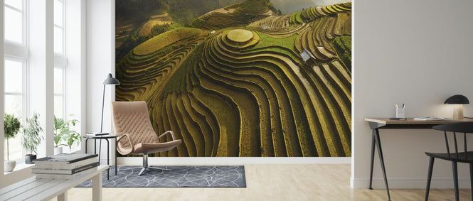 PHOTOWALL / Mu Cang Chai - Vietnam (e323930)