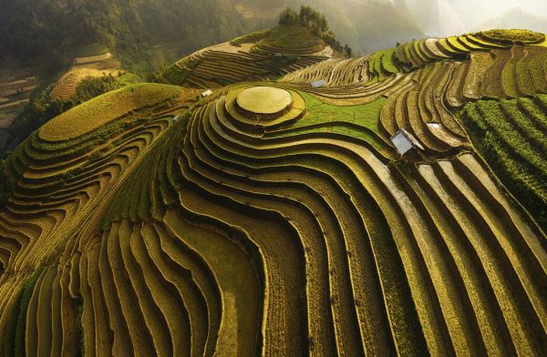 PHOTOWALL / Mu Cang Chai - Vietnam (e323930)