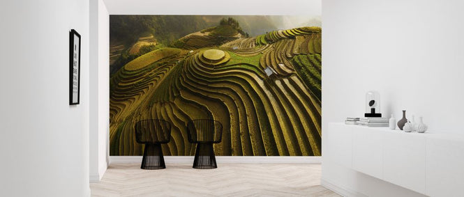 PHOTOWALL / Mu Cang Chai - Vietnam (e323930)
