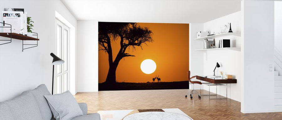 PHOTOWALL / African Sunset (e323943)