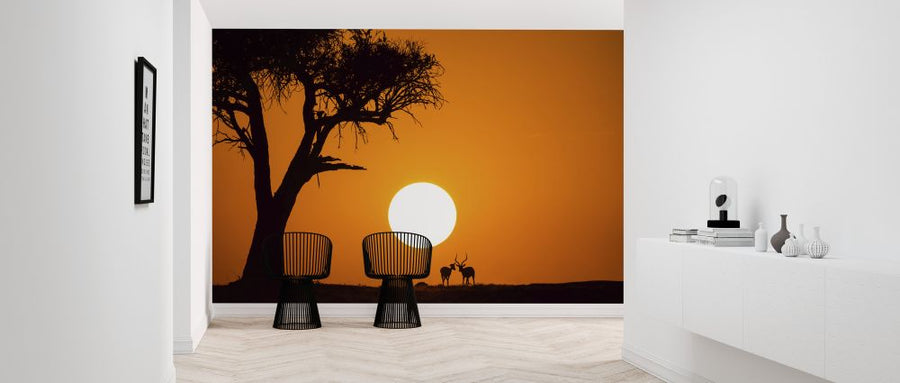 PHOTOWALL / African Sunset (e323943)