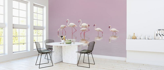 PHOTOWALL / Flamingos (e323954)