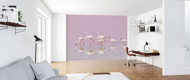 PHOTOWALL / Flamingos (e323954)