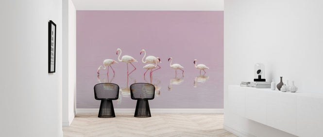 PHOTOWALL / Flamingos (e323954)