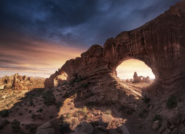 PHOTOWALL / Windows (e323978)