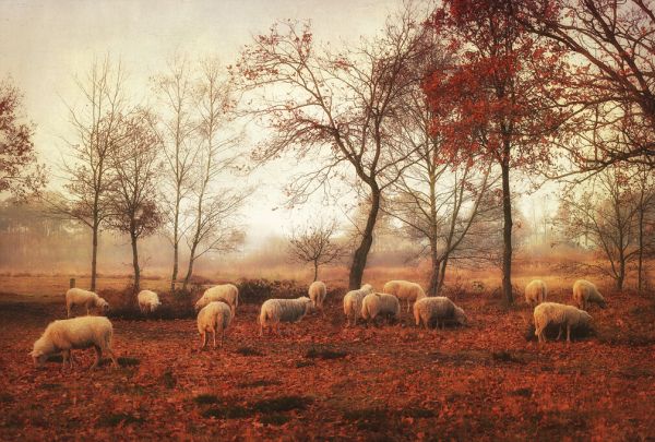 PHOTOWALL / Last Days of Autumn (e323983)