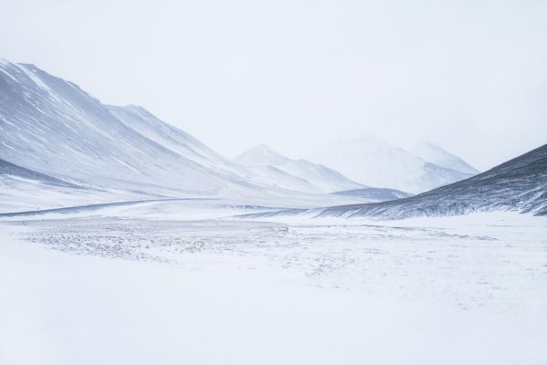 PHOTOWALL / Sketched by the Wind (e323985)