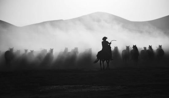 PHOTOWALL / Chasing the Jades (e323990)