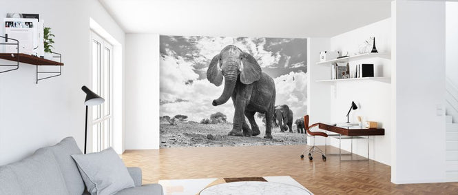 PHOTOWALL / Matriarch March (e323991)