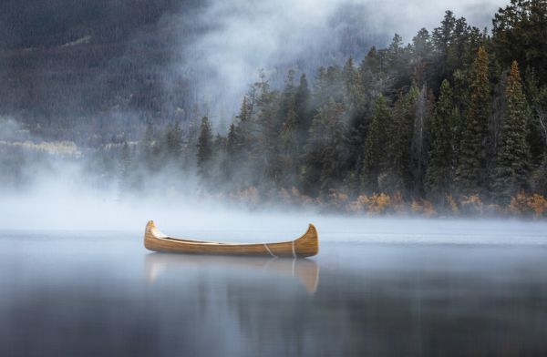 PHOTOWALL / Jasper Canada (e323994)