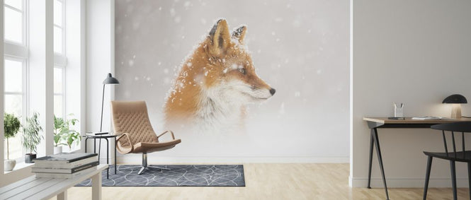 PHOTOWALL / Snow is Fallinga (e323999)