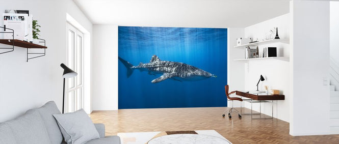 PHOTOWALL / Whale Shark in the Blue (e324000)