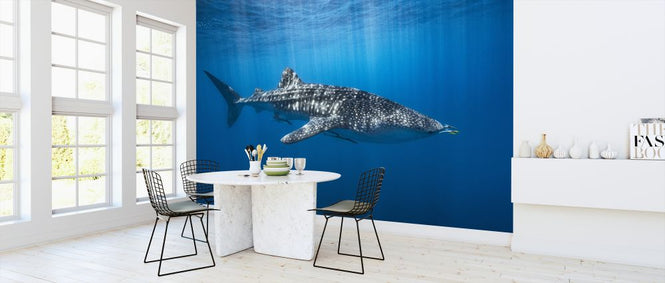PHOTOWALL / Whale Shark in the Blue (e324000)