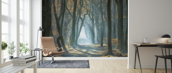 PHOTOWALL / Cold Light (e324016)